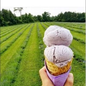 Meet your Posher, Terri